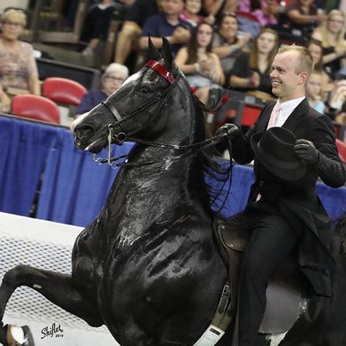 Top Professional Horse Trainers & Riding Instructors in Columbia, MO